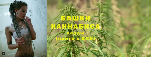 каннабис Корсаков