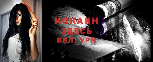 молекула духа Великий Новгород